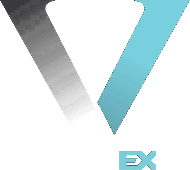 VinnoInvest logo